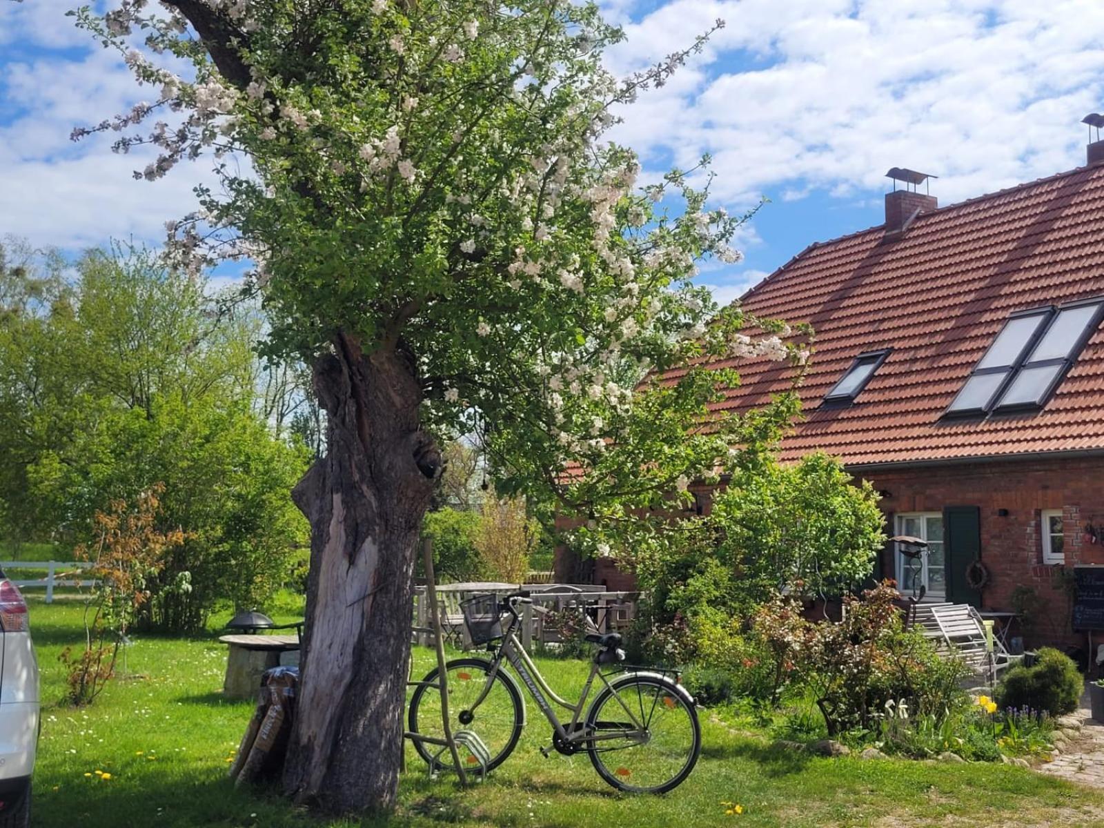 Seminar Und Landhaus Schoenbeck Schonbeck  Extérieur photo